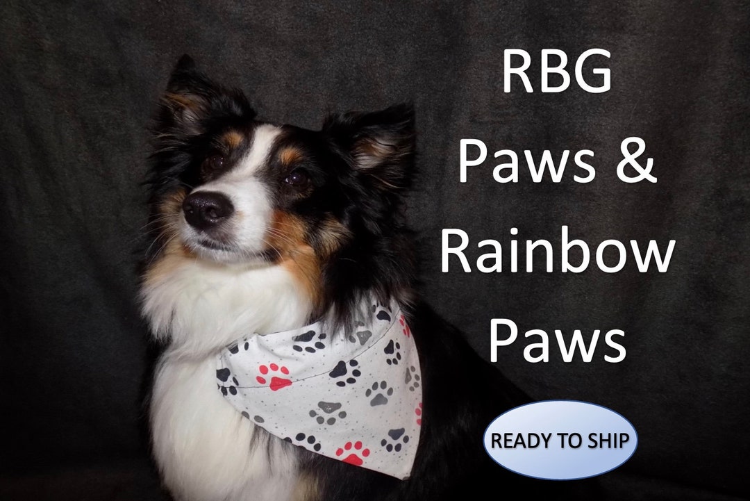 Reversible RBG Paws & Rainbow Paws Dog Bandana Over the Etsy
