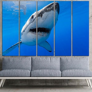 Shark wall art Ocean wall decor Shark poster