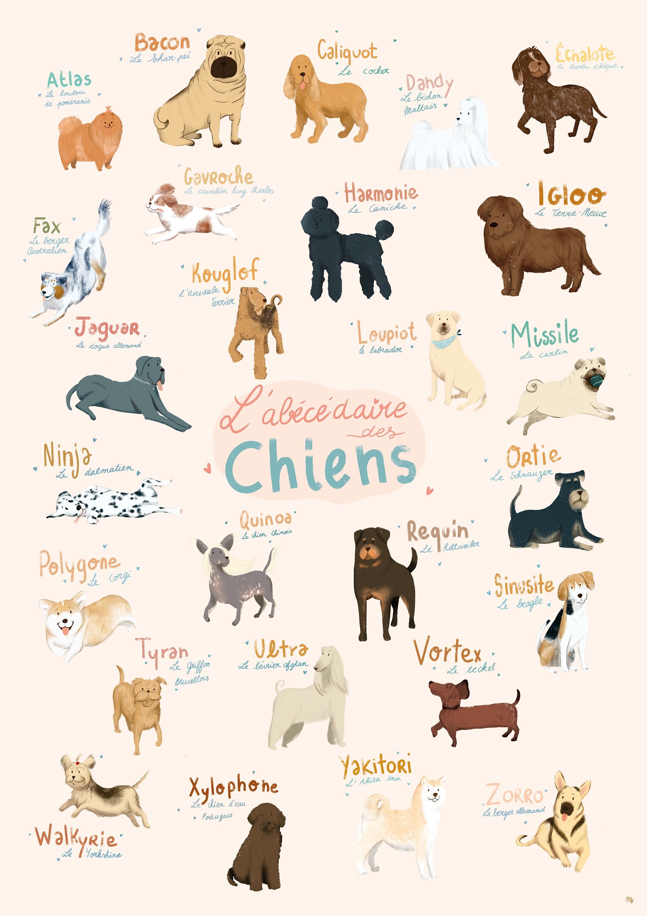 L'abécédaire Des Chiens