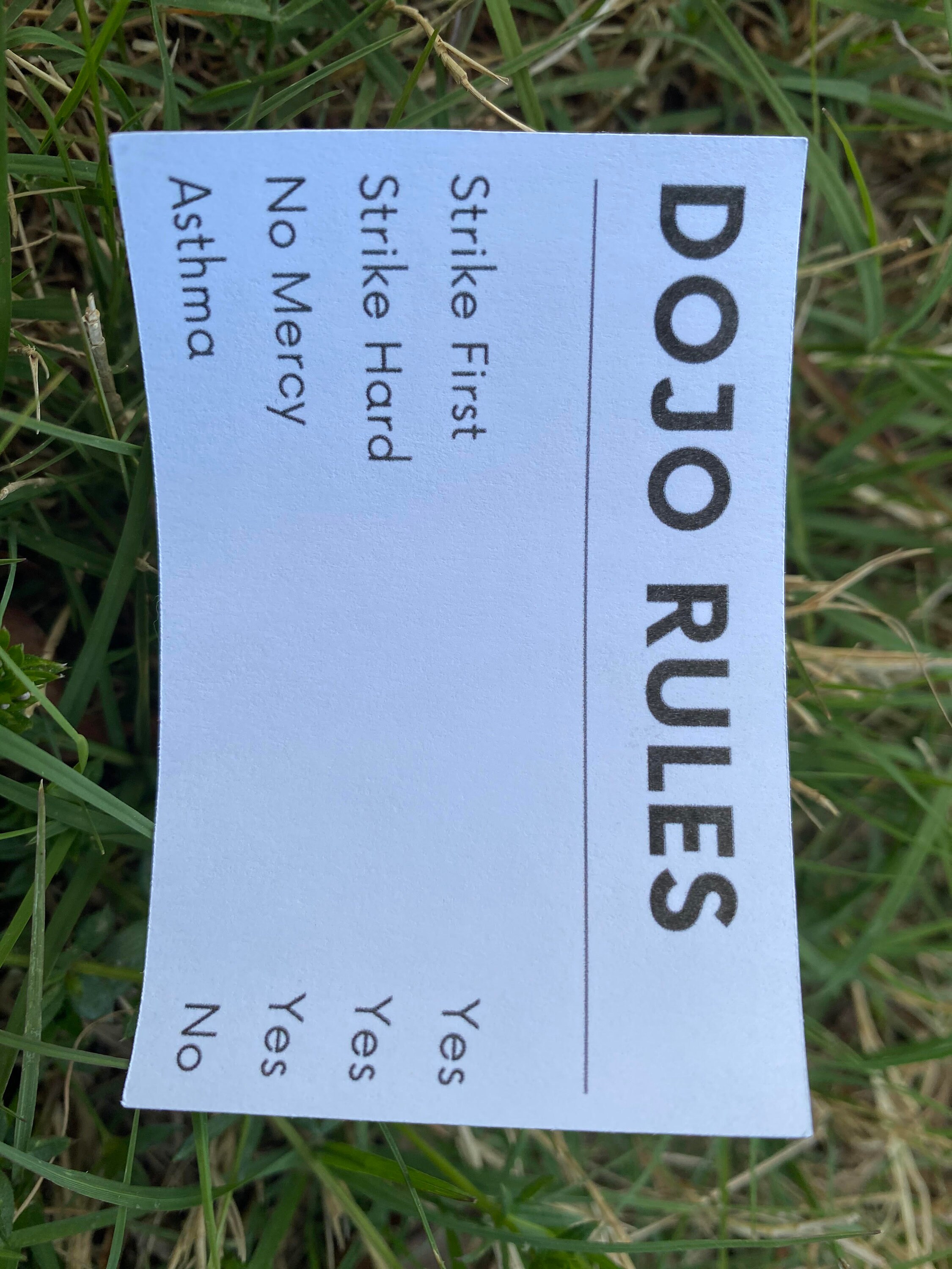 original-design-cobra-kai-dojo-rules-sticker-not-waterproof-etsy