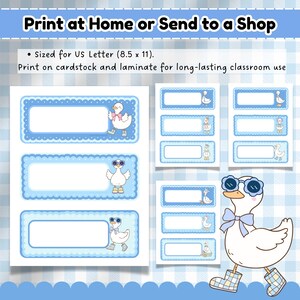 Printable silly goose name tag sheets in three sizes, designed for US Letter paper—perfect for classroom organization. Features pastel blues, gingham backgrounds, and fun hand-drawn geese for a charming preschool setup.