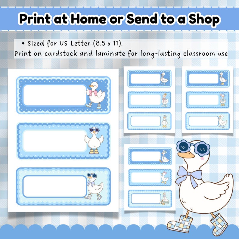 Printable silly goose name tag sheets in three sizes, designed for US Letter paper—perfect for classroom organization. Features pastel blues, gingham backgrounds, and fun hand-drawn geese for a charming preschool setup.
