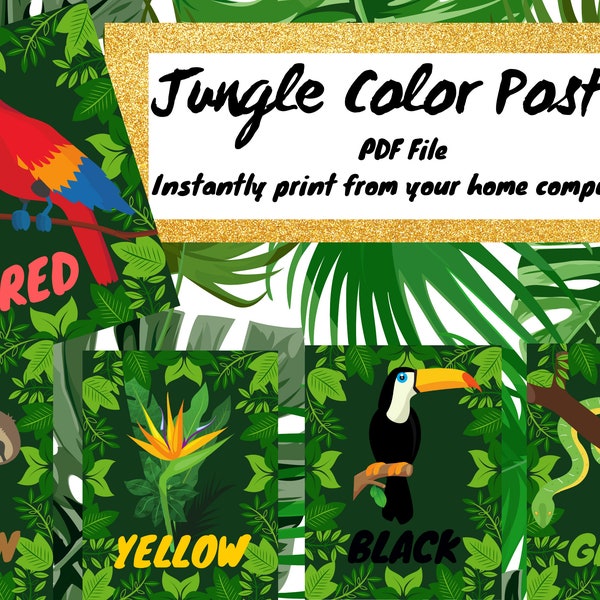 Rainforest Jungle Color Posters for Preschool, Childcare, Daycare or classroom setting. Digital Download. Classroom Art and learning tool