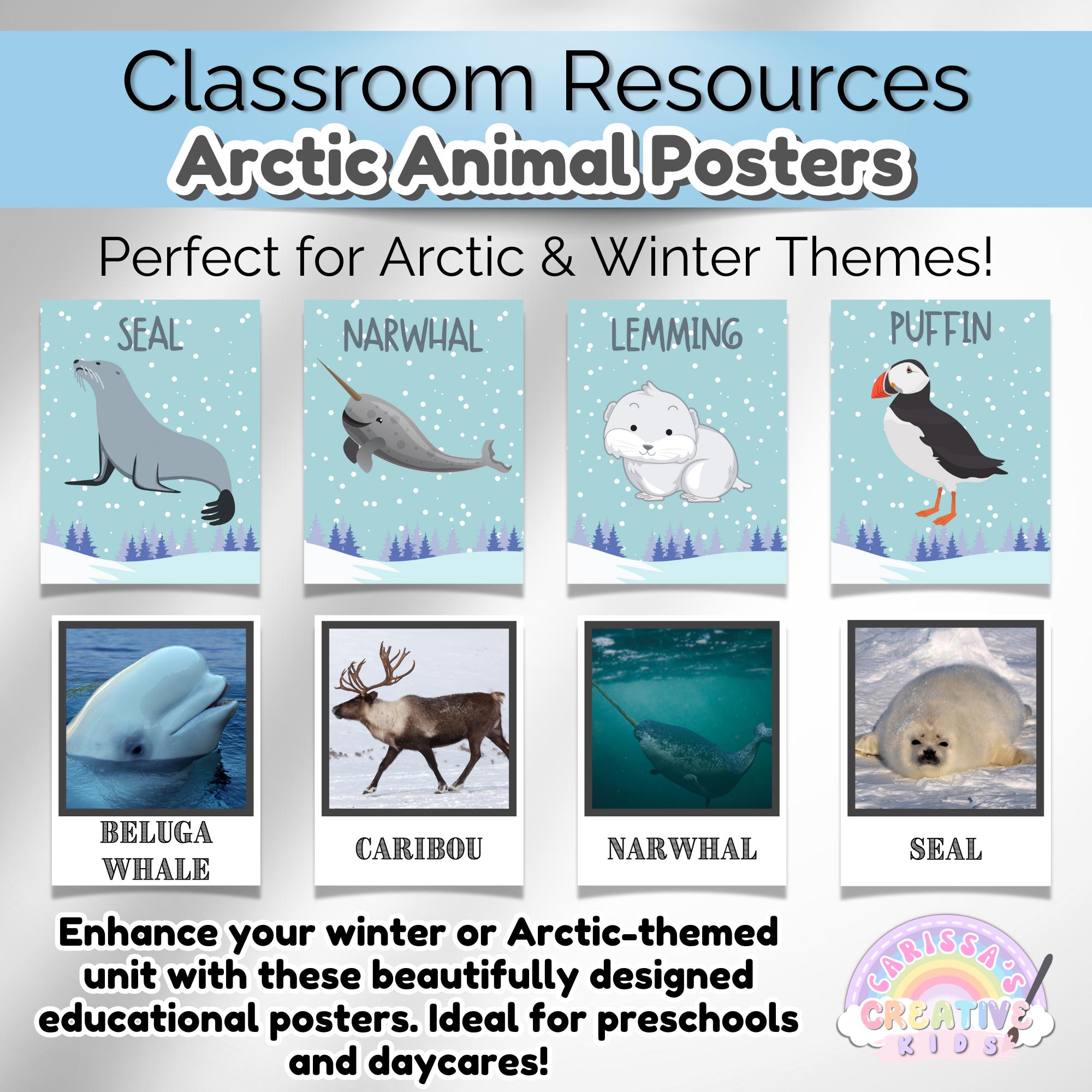 Arctic Animal Educational Preschool Posters | Polar Animals Classroom ...