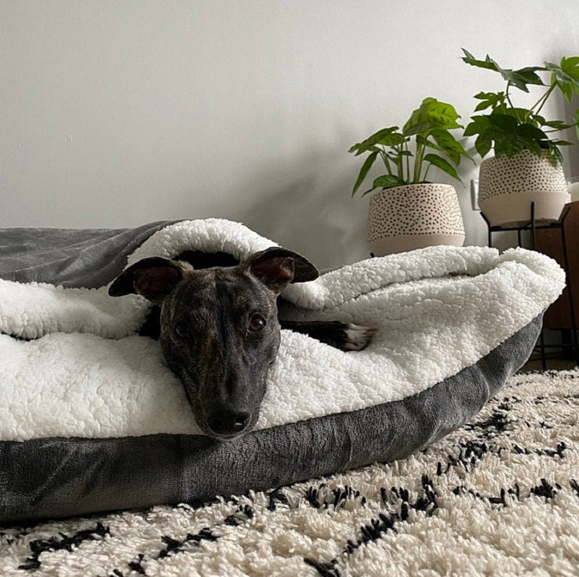 Snuggle Dog Bed/Snuggle Cave/Super Soft Dog Den from UK Etsy