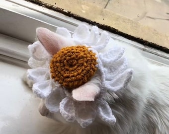 May include: A white cat wearing a crocheted daisy flower hat with a yellow center. The cat is sitting on a white surface and looking down.