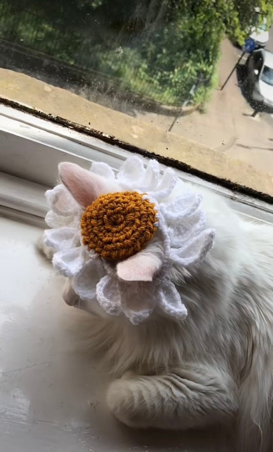 Chapéu de gato e cachorro de crochê com flores, chapéu de flores