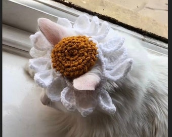 crochet flower daisy cat/ dog hat pattern