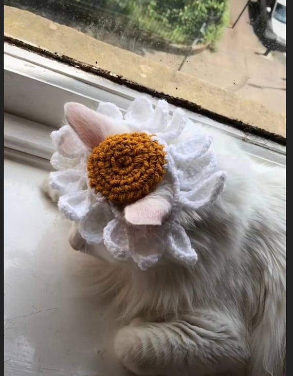 Crochet Flower Daisy Cat/ Dog Hat Pattern