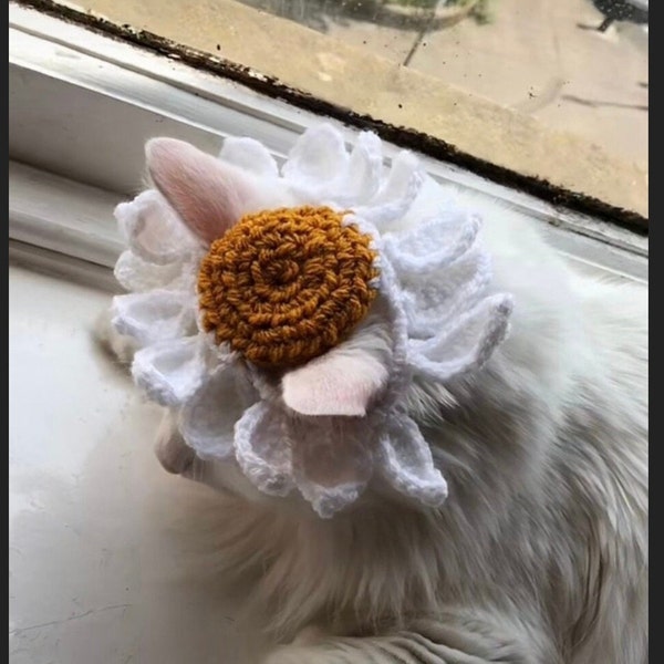 crochet flower daisy cat/ dog hat pattern