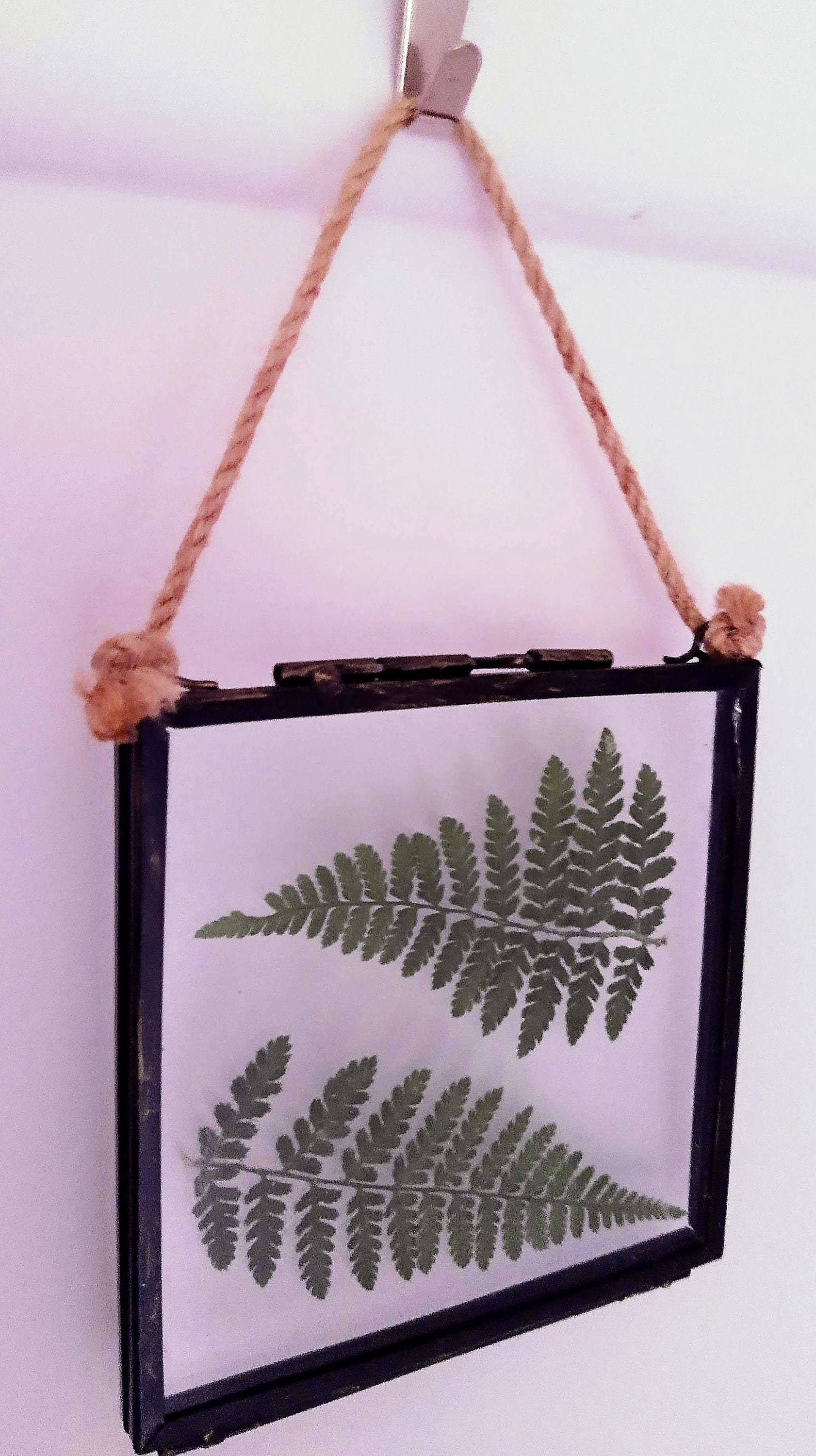 pressed fern in a metal industrial style vintage floating glass frame