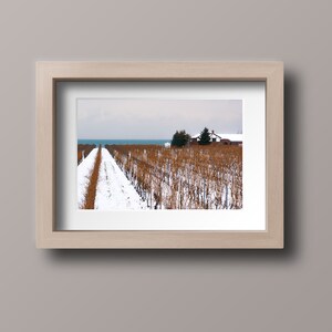 Imagen de viñedo de invierno imprimible Arte de pared, arte fotográfico digital en color, Descarga instantánea