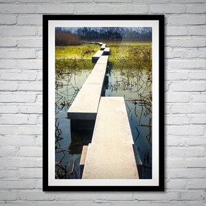 Wetland Picture Printable Wall Art, Color digital Photo Art, Instant Download