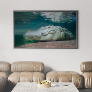 Crocodile&#39;s leather, teeth, and eyes Picture Printable Wall Art, Color digital Photo Art, Instant Download