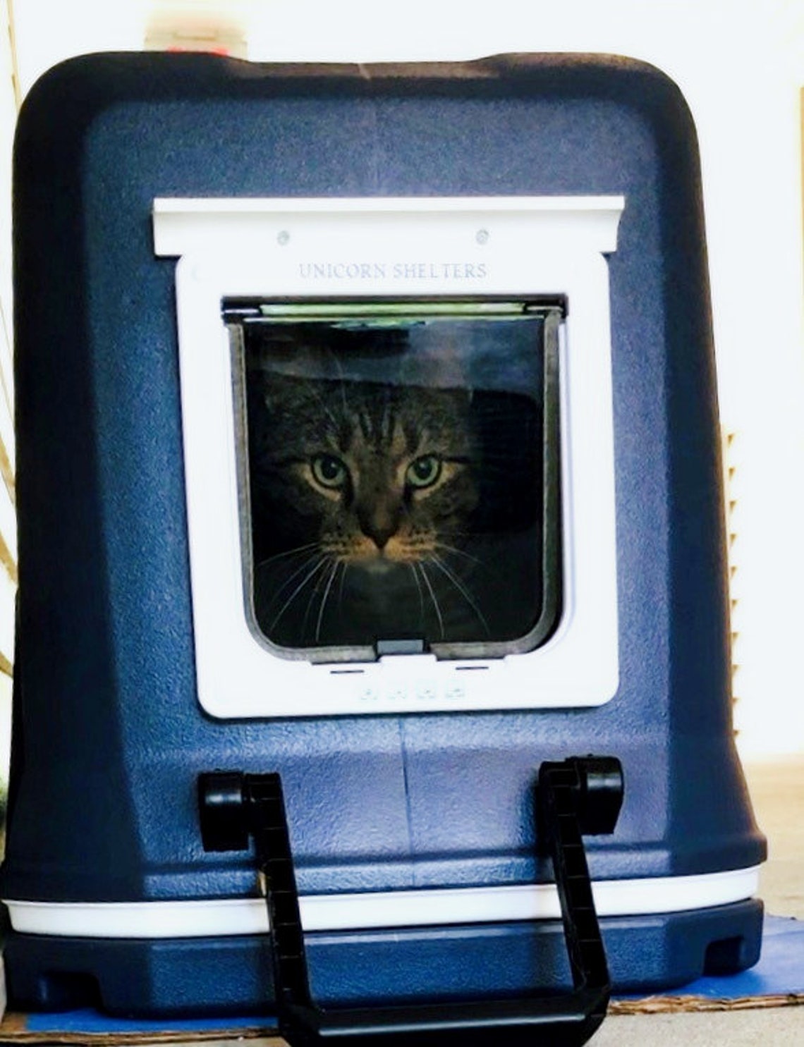 The Best Heated Stray Cat house Outdoor Feral Cat Shelter Etsy