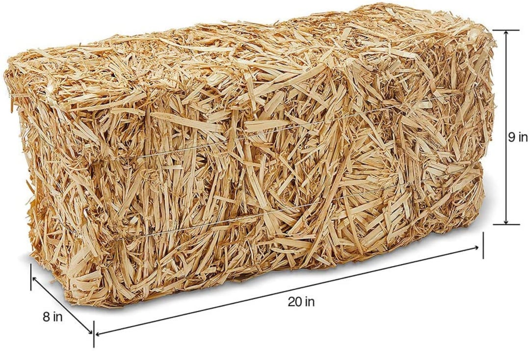 Straw for Feral Cat Houses Organic STRAW BALE Unicorn Shelters Decorative  Straw Bale Straw Bedding Straw for Garden Pet Bedding 