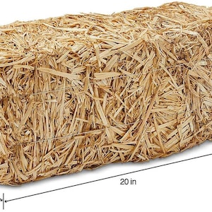 May include: A rectangular bale of straw, measuring 20 inches long, 8 inches wide, and 9 inches high. The straw is a light tan color, tightly bound with wire. This bale is suitable for decorative purposes or animal bedding.