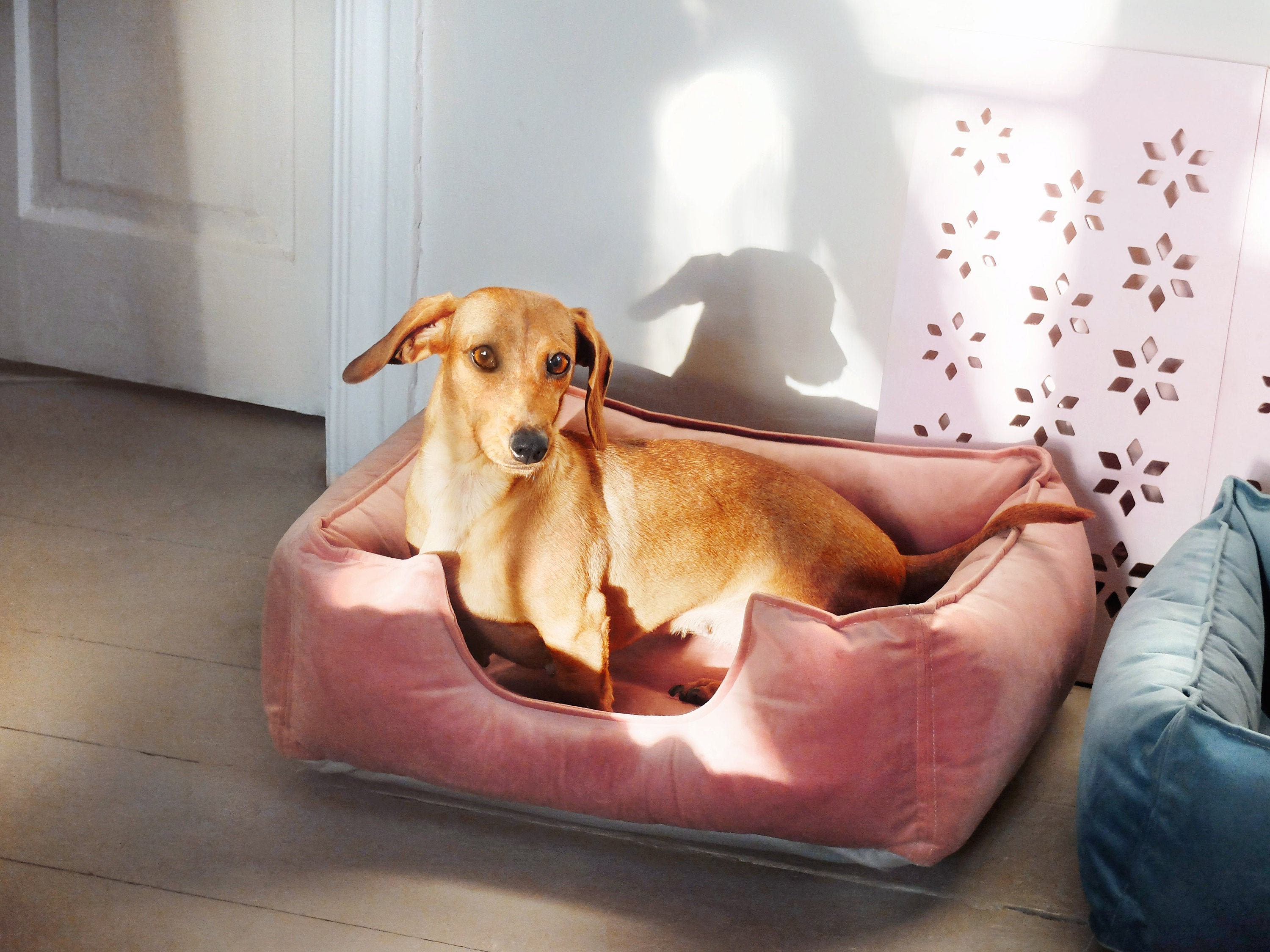 Cozy Dog Bed. Orthopedic AntiAnxiety Pet Bed. Washable and Etsy