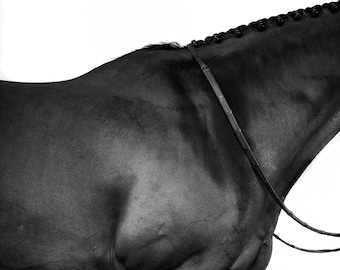 May include: Black and white photograph of a horse's back and neck. The horse is wearing a leather halter and has a braided mane.