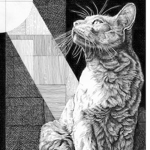 Puede incluir: Ilustración detallada a pluma y tinta en blanco y negro de un gato mirando hacia arriba. El gato está sentado, con el pelaje representado con intrincados detalles. Una luz brillante brilla desde arriba, iluminando al gato y las formas geométricas circundantes.