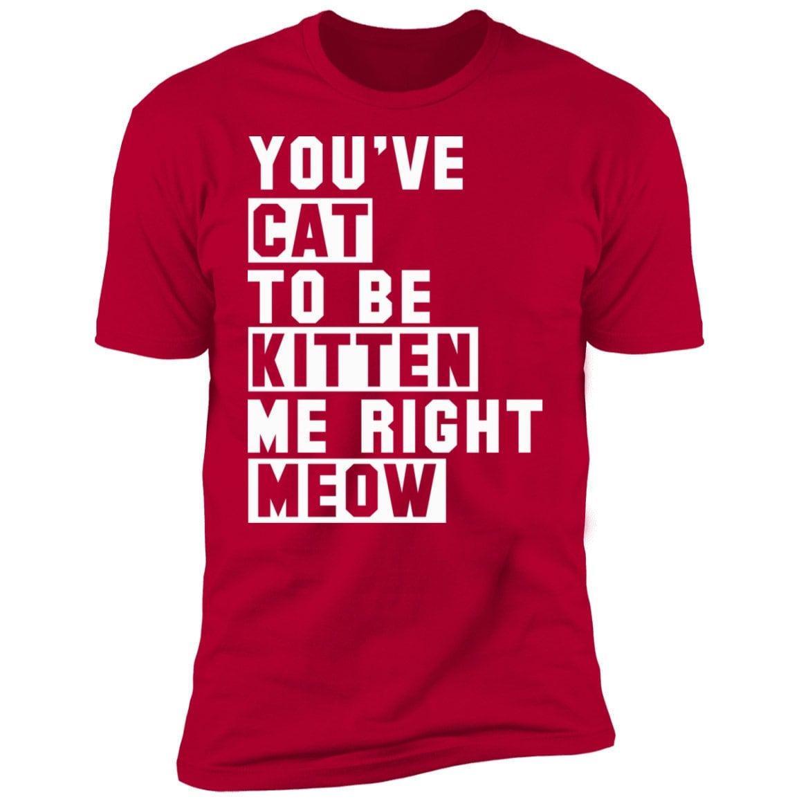 Funny Cat Shirt Cat Lover Shirt Cat Lover T Cute Cat Etsy 
