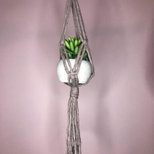 May include: A gray macrame plant hanger suspending a small white ceramic pot with a green succulent plant. The macrame is knotted and has a tassel at the bottom. The background is a solid, muted purple.