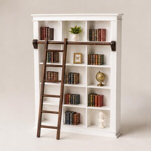 May include: A tall white wooden bookcase with multiple shelves containing rows of books, a small potted green plant, a framed butterfly picture, a gold-toned globe, and a white bust. A dark brown wooden rolling ladder is attached to a rail.