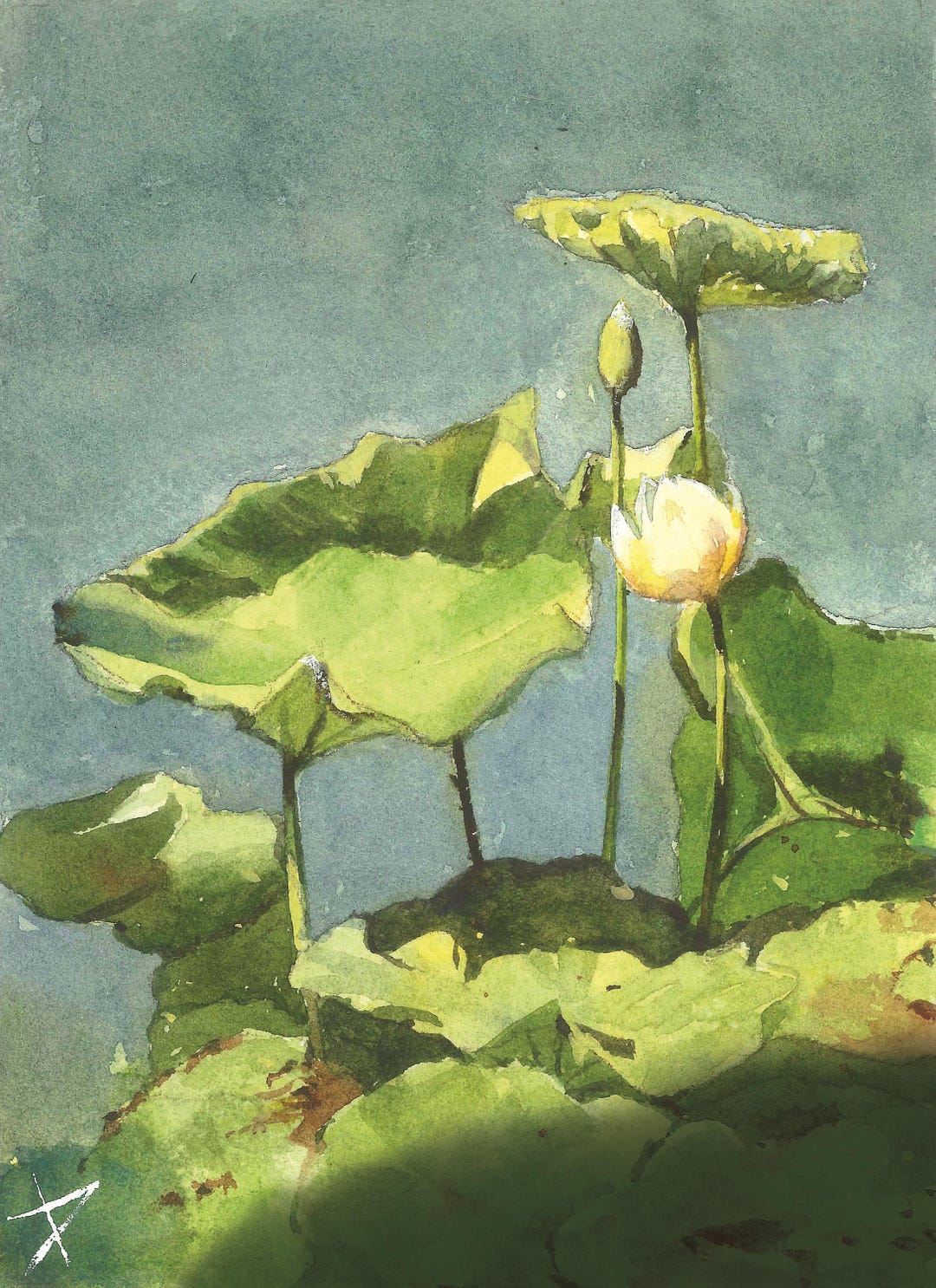 Lotus Flower Watercolor Painting Print: Botanical Wall Art - Etsy