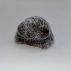 hamster taba squishy