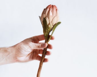 King Protea Stem - Ceramic Pink Flower