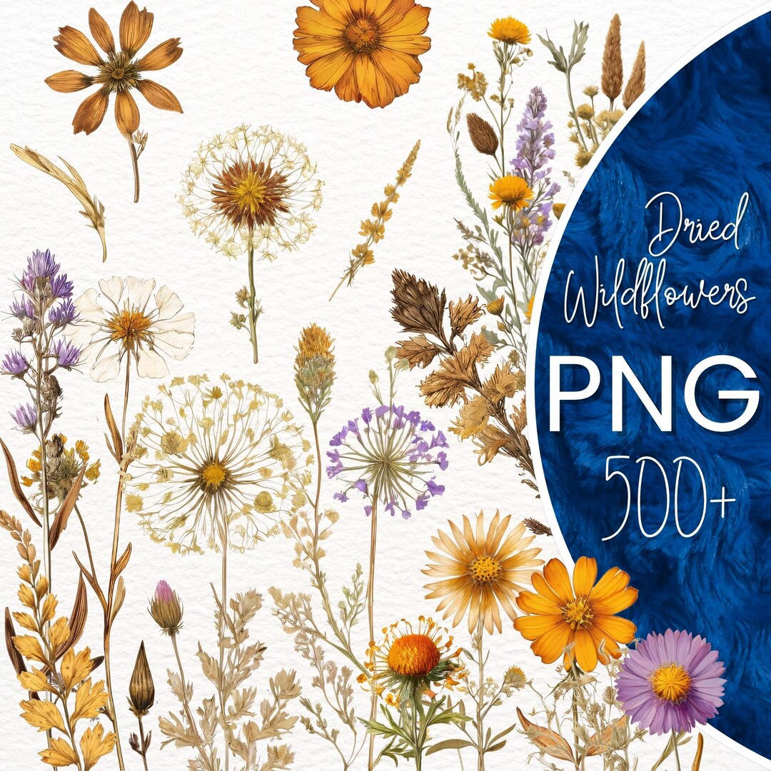 Dried Wildflowers Bouquet PNG| 500+ Dried Flower Bouquet Clipart ...