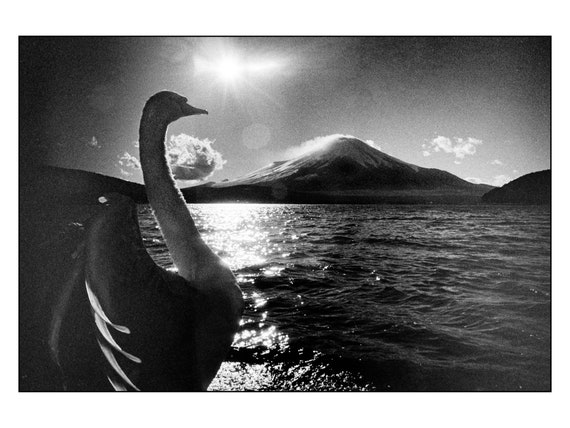 Large Fine art photo print: A Swan's View of Mt Fuji, Japan - Archival print on genuine Washi paper - Limited edition