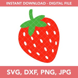 Strawberry Layered Svg file Cricut Design Png Dxf Jpg 001