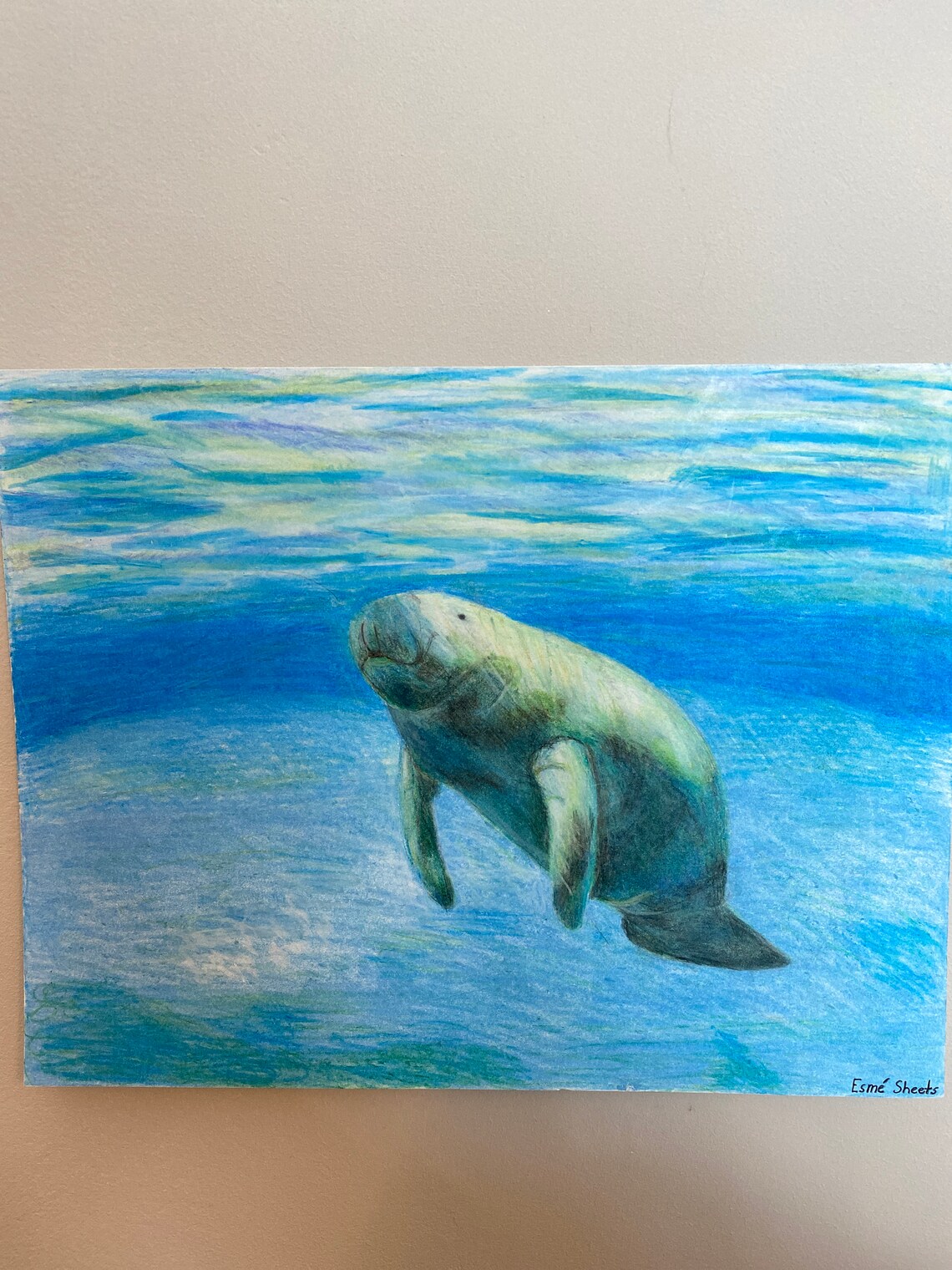 manatee pool float