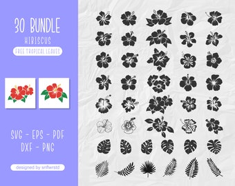 SVG de flores tropicales, SVG de hibisco, SVG de hoja de monstera, SVG de plantas tropicales, SVG de hojas de jungla, SVG de hojas hawaianas, silueta de clipart de hojas para Cricut