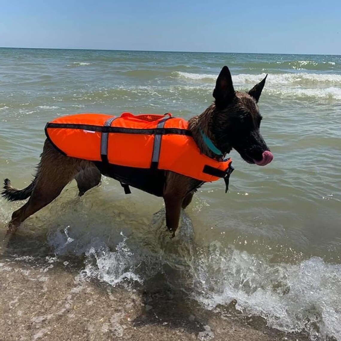 Pet swim vest Reflective MultiColored Dog Swimming Life Vest Etsy