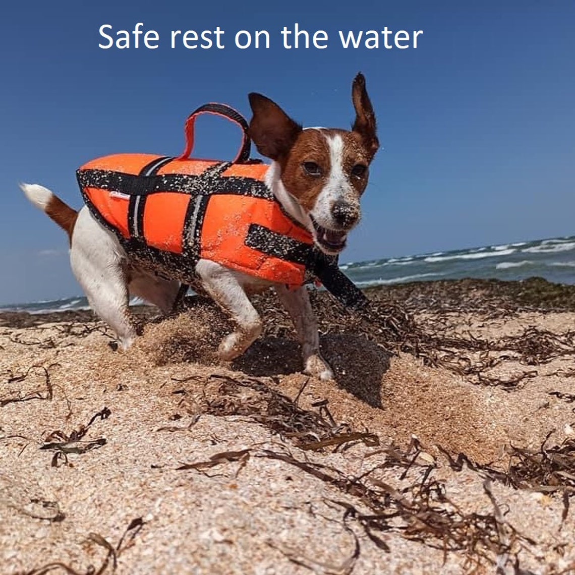 Pet swim vest Reflective MultiColored Dog Swimming Life Vest Etsy