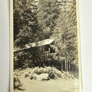 Carte postale RPPC Trinity Alps Resort Cabins Bungalow dans la forêt Message de 1942