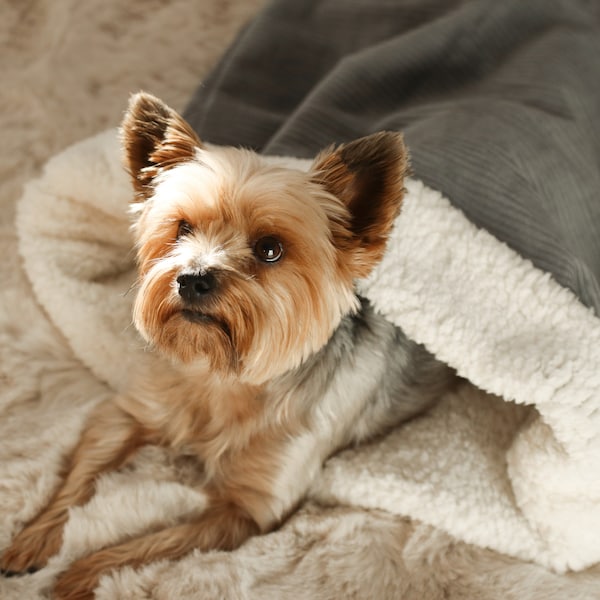 Dog Sleeping Bag Etsy