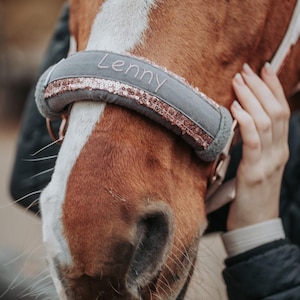 Könnte beinhalten: Nahaufnahme eines Pferdes mit einem grauen Halfter, auf dem der Name "Lenny" in Rosa gestickt ist. Das Halfter ist mit rosa Pailletten verziert. Das Pferd hat ein braunes Fell und einen weißen Streifen im Gesicht.