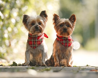 Bandana natalizia per cani | Accessori per cani Asciugamano per cani Natale, Accessori per cuccioli, Bandana per cani - Regalo per cani