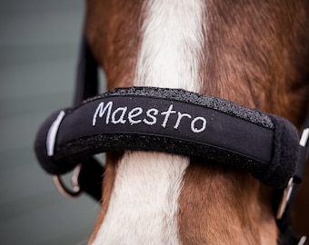 Muserolle pour licol avec nom | Protège licou, plaquettes nasales, accessoires cheval personnalisés - idée cadeau pour les amateurs de chevaux