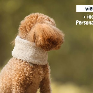 Könnte beinhalten: Ein brauner Pudel trägt einen cremefarbenen, flauschigen Halsschmuck. Der Hund ist von hinten zu sehen, mit einem verschwommenen grünen und gelben Hintergrund. Der Text oben rechts lautet "viele Farben + individuelle Personalisierung."