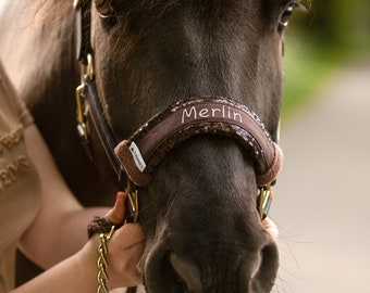 Noseband für Halfter mit Namen bestickt | Nasenpolster, personalisiertes Pferdezubehör - Geschenk für Pferdeliebhaber