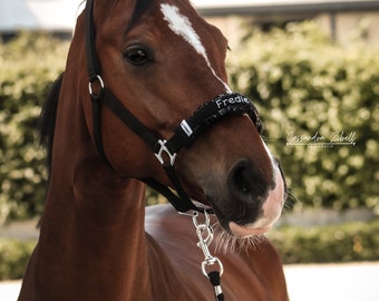 Protecteur de licou brodé du nom | Muserolle pour licol chevaux - cadeaux chevaux personnalisés