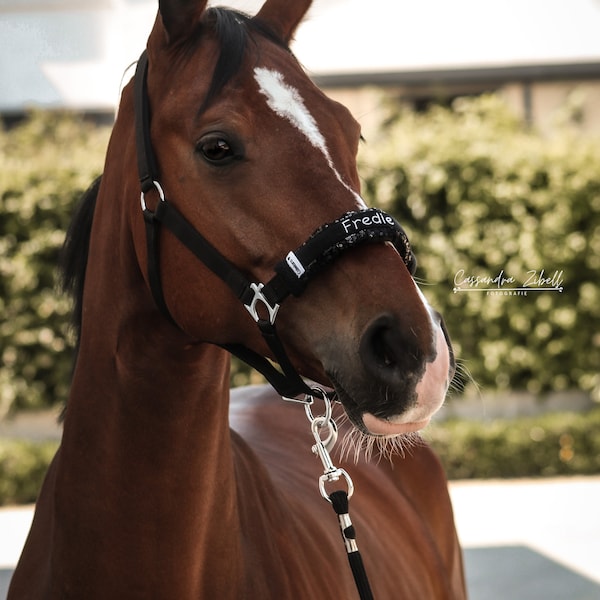 Protecteur de licou brodé du nom | Muserolle pour licol chevaux - cadeaux chevaux personnalisés