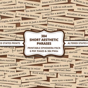 May include: A collection of vintage-style paper tags with various phrases and quotes, such as "echoes of the past" and "dreaming in color." The tags are arranged on a wooden background. The image also includes text that reads "384 Short Aesthetic Phrases."