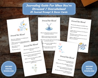 Stress Relief Journal Prompts, Anxiety Journal Prompts, Anxiety Relief Writing Prompts, Self Care Journal, Stress Relief Gift, Self Help PDF