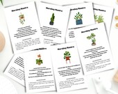 Morning Journal Prompts, Affirmation Cards, Printable Affirmation Journal Cards, Daily Affirmations, Journaling Prompts, Writing Prompts