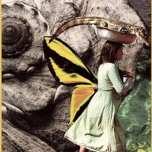 The Fool (print)